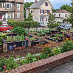 Colorful raised garden beds with spraypaintBeds